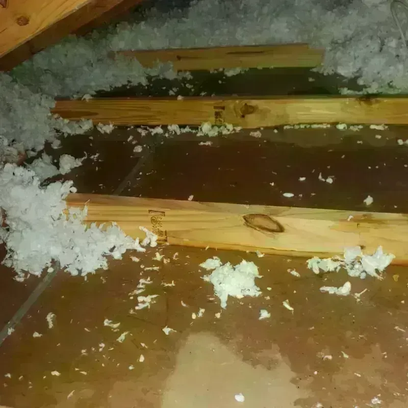 Attic Water Damage in Reading, PA